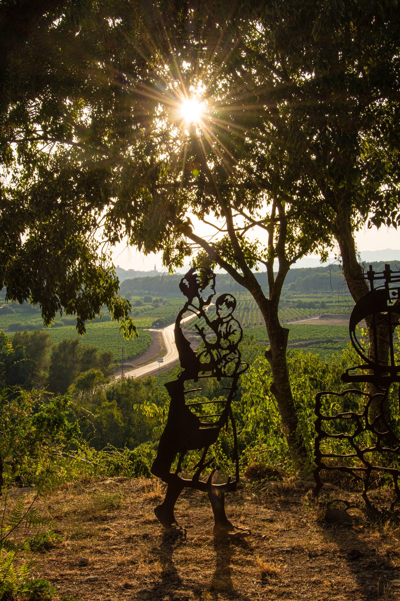 Wine experiences in Penedes with AMAjourney