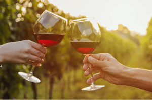 Wine tasting experience in Catalonia