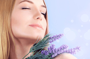 Perfume & Botanical Routes